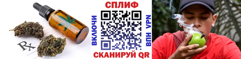 Купить закладки  Миньяр  Cannafood конопля 