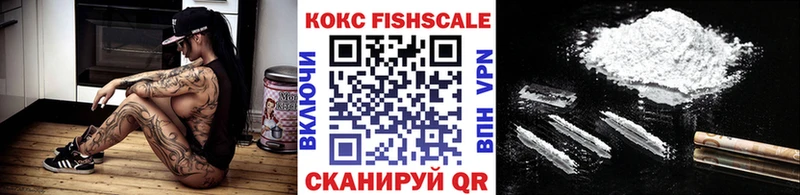 КОКАИН Fish Scale  Купить где  Миньяр 