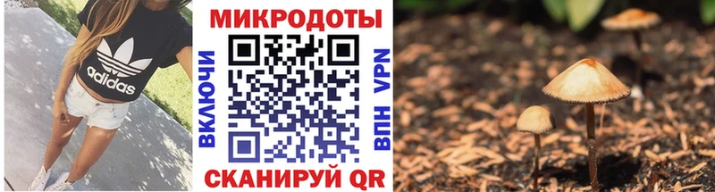 Галлюциногенные грибы GOLDEN TEACHER  Купить  Миньяр 